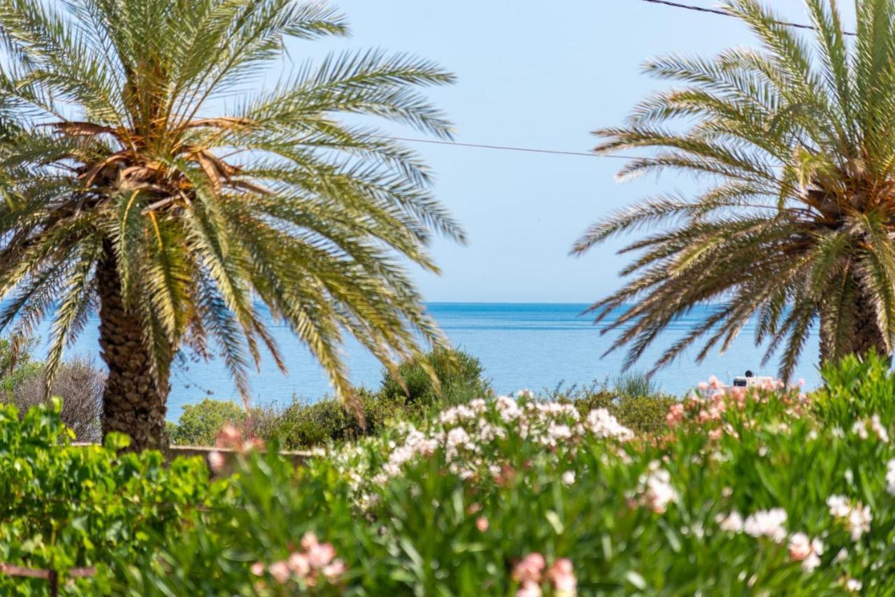Carissa House In Crete Apartment Sitia  Exterior photo