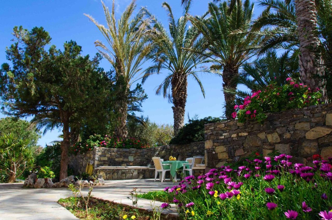 Carissa House In Crete Apartment Sitia  Exterior photo